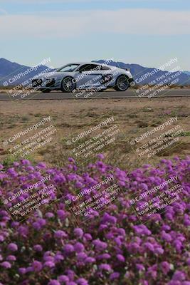 media/Jan-08-2023-SCCA SD (Sun) [[8f6a5b9391]]/Advanced Group/Session 2 (Short Straight)/